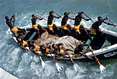 Fanti fishermen rowing a skiff,Ghana