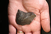 Iron-nickel meteorite