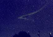 Leonid Meteor Dust Trail