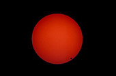 Transit of Venus,8th June 2004