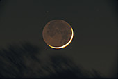 2 Day Old Moon ,with earthshine