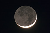 Crescent Moon Occults Chi Taurus
