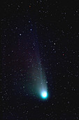 Comet Neat