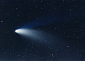 Hale-Bopp comet