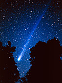 Comet Hyakutake over trees on 2nd March 1996