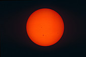 Sun disc with sunspots