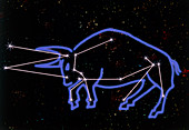 Artwork of the zodiacal constellation Taurus