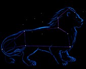 Artwork of the zodiacal constellation Leo