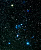 Optical image of the constellation Orion