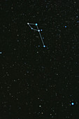 Delphinus Constellation