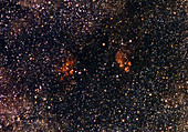 Cats Paw Nebula and nebula complex