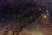 Nebula near Rho Ophiucus