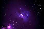 Reflection Nebula in Orion