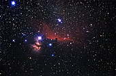 Horsehead Nebula region