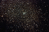 Sagittarius Star cloud & NGC6603