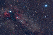 Cygnus and Lyra Constellations