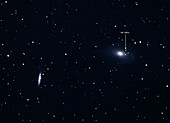 Supernova in Galaxy M81