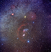 The Milky Way from Monoceros to Orion