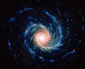 Spiral galaxy