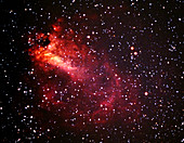 The Swan Nebula (M17)