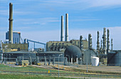 Coal gasification plant
