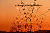 Electricity pylons & transmission lines at sunset
