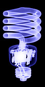 Energy Efficient Light Bulb