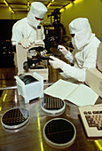 Clean-room assembly of DRAM computer chips