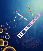 Nanoscale and Microscale Barcodes