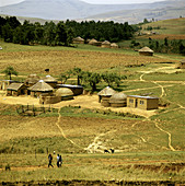Zulu Huts