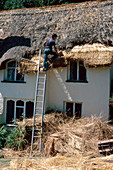 'Roof thatcher,England'