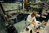 Chemist at work in a research laboratory