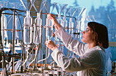 Chemist in laboratory working on row of condensers