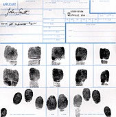 Fingerprint identification application