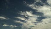 Cirrus uncinus clouds, timelapse