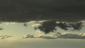 Updrafts in clouds, timelapse