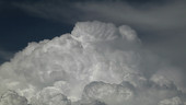 Convection in cumulus clouds