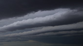 Roll vortices of cloud, timelapse