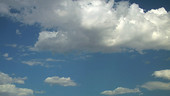 Cumulus clouds, timelapse