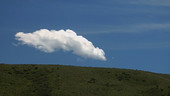 Cumulus cloud, timelapse