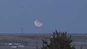 Rising eclipsed moon, timelapse