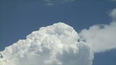 Developing cumulus cloud, timelapse