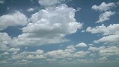 Growing cumulus clouds, timelapse
