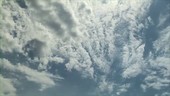 Altocumulus clouds, timelapse