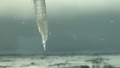 Icicle timelapse