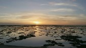 Tropical beach sunrise