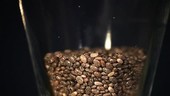 Chia seeds soaking in water