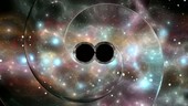 Black hole gravity waves, animation