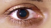 Brown eye with pupil constricting