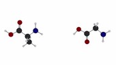 Peptide bond formation, animation